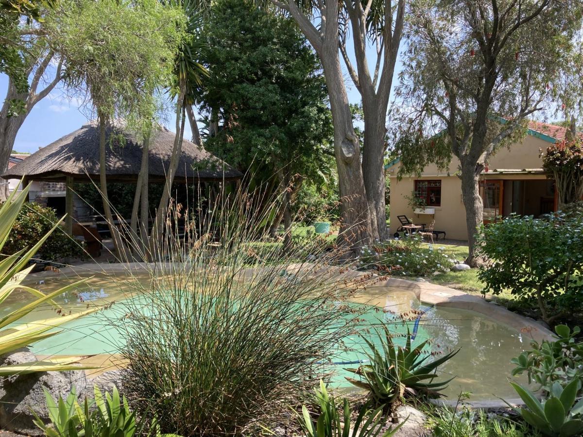 Paradise In Kommetjie Cape Town Exterior photo